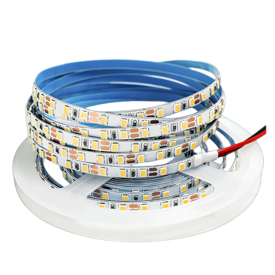 MANGUERA LED SMD 120 CHIP 2835 PCB 8MM 6W/M BMLSMD120-6